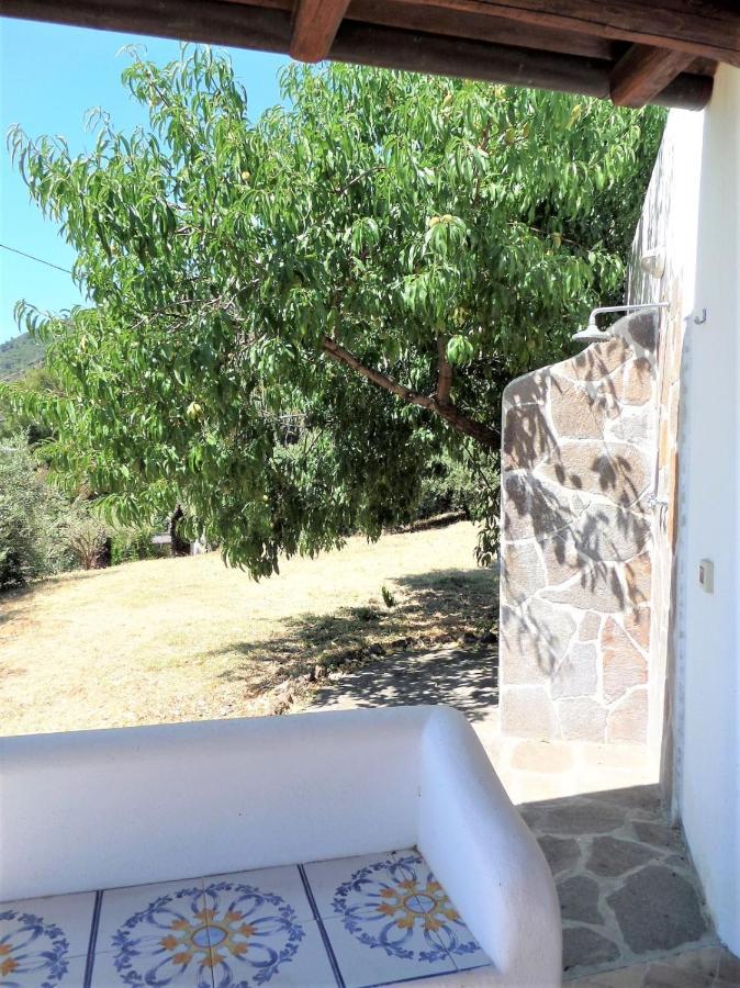 Case Al Mare - Terrazzi Panoramici E Ampio Giardino Santa Marina Salina Eksteriør billede